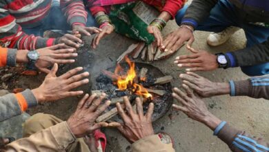 Cold wave continues in Rajasthan, Meteorological Department issues yellow alert for these districts