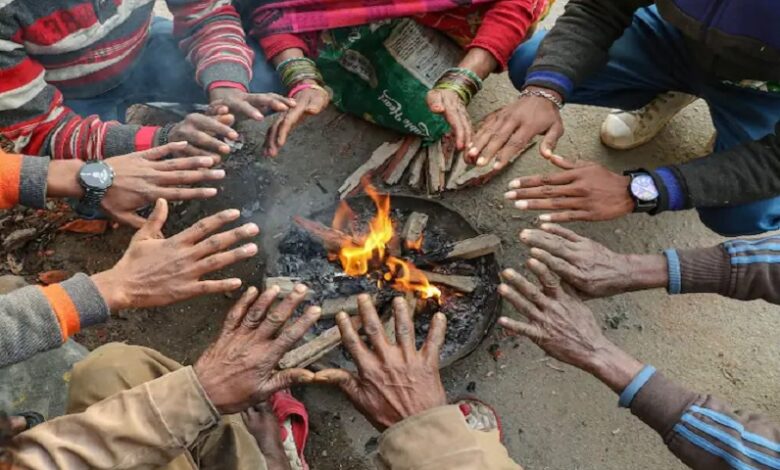 Cold wave continues in Rajasthan, Meteorological Department issues yellow alert for these districts