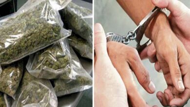 Odisha police arrest 1 smuggler with marijuana worth lakhs.