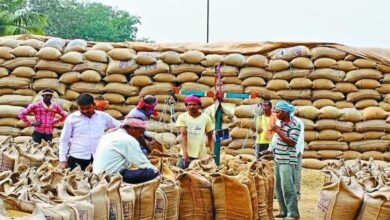 Continuous lifting of paddy for custom milling.