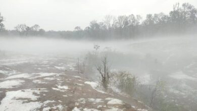 CG Weather Update: Hailstorm falls in CG's Mainpat, disaster for farmers.