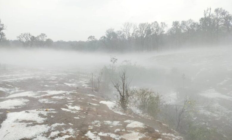 CG Weather Update: Hailstorm falls in CG's Mainpat, disaster for farmers.