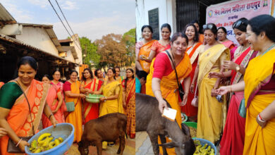 Cows served in Gaushala, gave medicine donation, Shri Digambar Jain Adishwar Mahila Mandal and Jain Milan Mahila jointly organized.