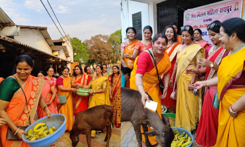 Cows served in Gaushala, gave medicine donation, Shri Digambar Jain Adishwar Mahila Mandal and Jain Milan Mahila jointly organized.