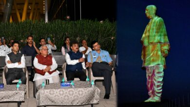 Governor attends light and sound show of "Statue of Unity"