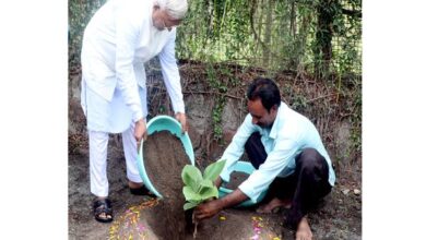 Governor Patel plants saplings on World Environment Day, 100 teak saplings to be planted at Raj Bhavan.