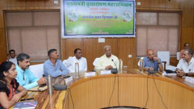 Cover the earth on Hariyali Teej, Panchayati Raj Minister calls upon public representatives