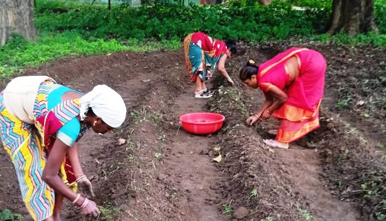  Bihaan Group's Didiyas moving forward towards turmeric cultivation