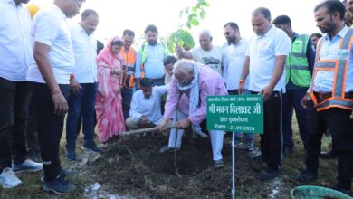 Sapling planted under 'Ek Tree Maa Ke Naam' campaign